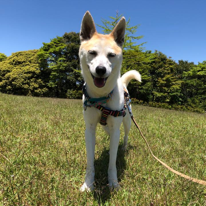 63529821 9f9f 4ca6 9c0e 4a9b457c46db 1589543687296