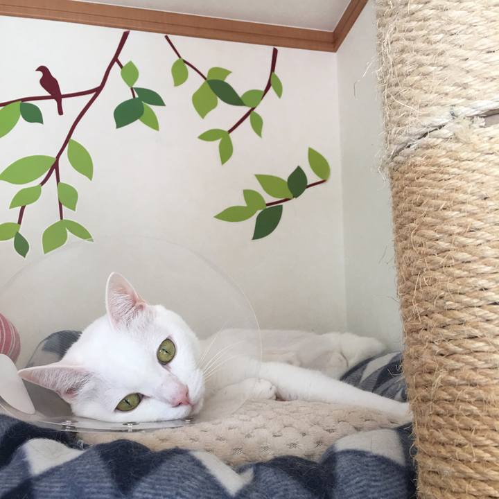 6352cb26 8cf9 4b99 bdb5 7a0ac125b05c 1542941440048