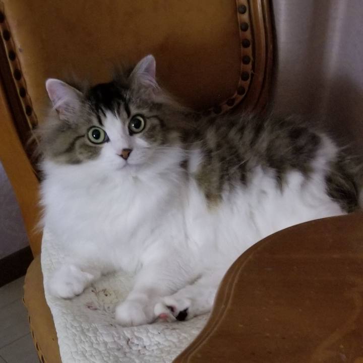 6352d070 009b 4337 8651 7b82f1d56051 1557782087507