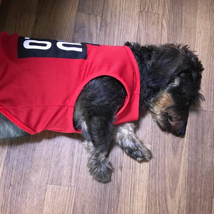 635309c2 049e 4834 b3c6 5956c161910b 1537774683122