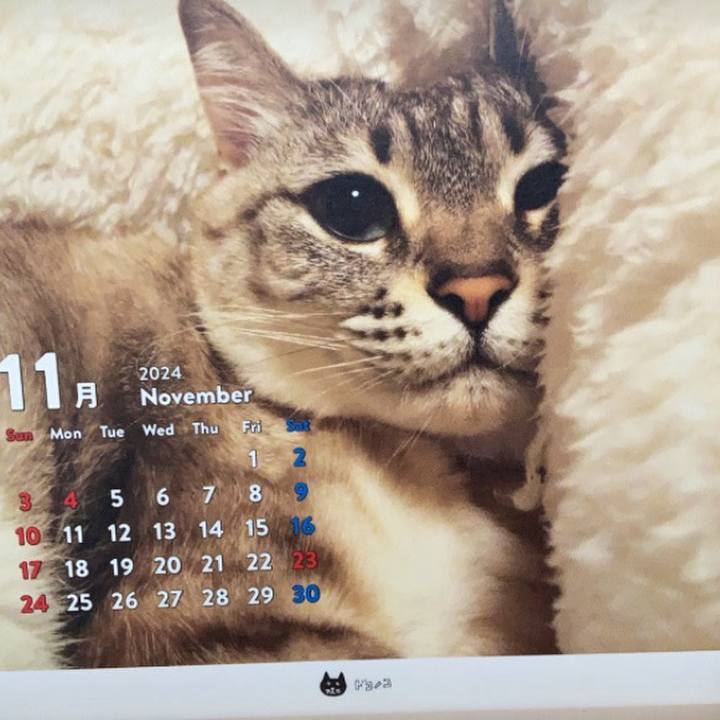 63532484 9ebd 4a01 8208 4ad36024f6ca 1730473674301