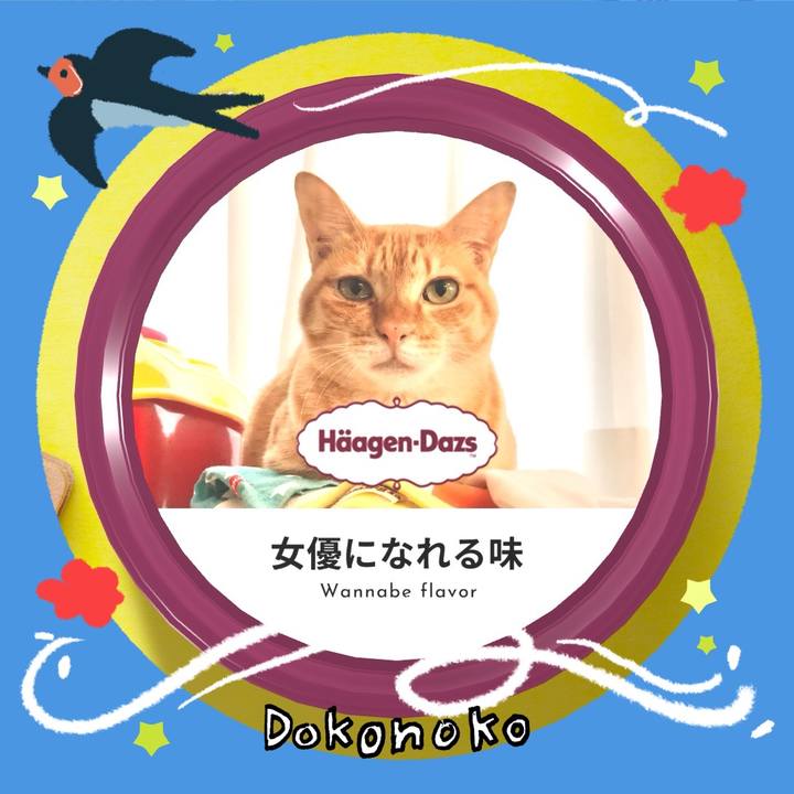 63536bc5 4a92 48e9 8a74 af50b808dfe7 1779504432990