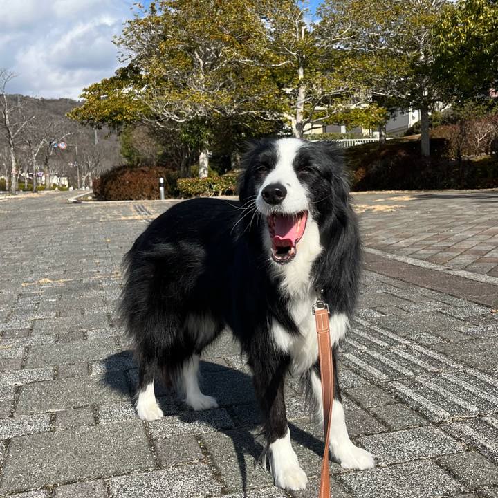 63536d01 49d5 4820 a1b6 9b4dc5e06f2b 1768018346175