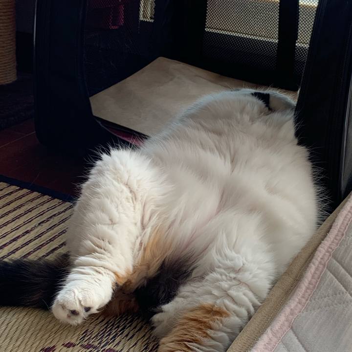 63536d46 4afb 4d03 b1e2 45d31f20f37a 1562893118676