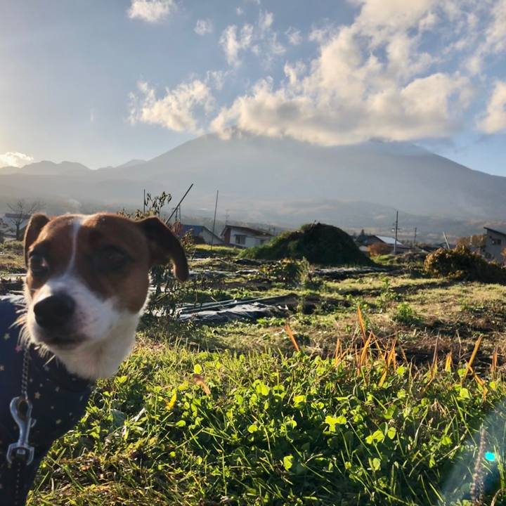 63537a37 bed4 4757 b296 df264e37d71a 1573545445742