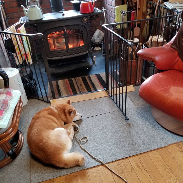 635384b5 0a11 4f57 9af2 fa6da676578d 1640302459046