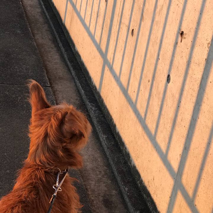 63539126 12cd 4d18 ac10 a3688b94df98 1540123737931