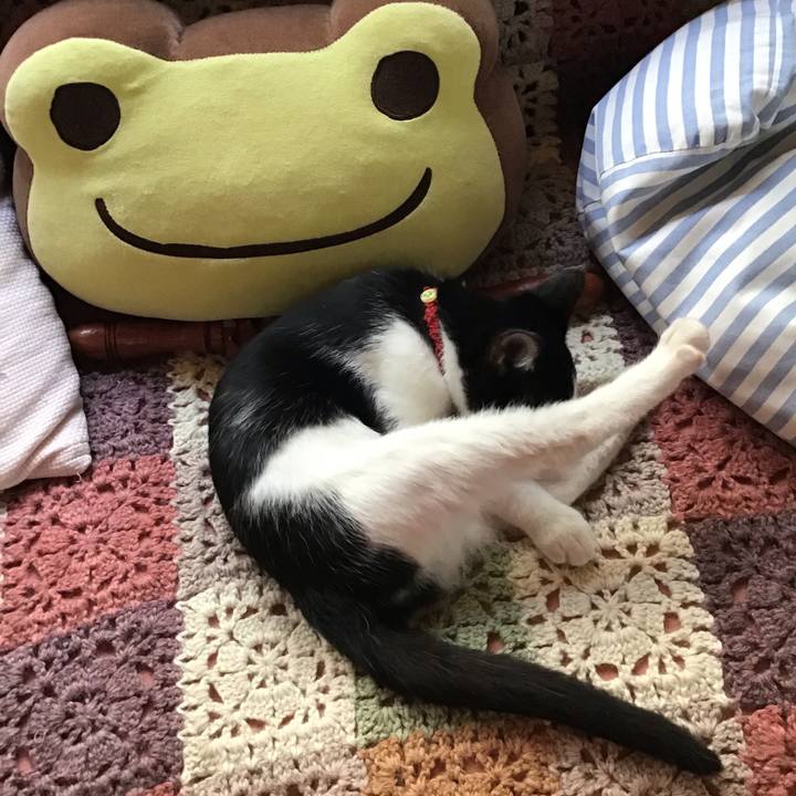 63539ae0 5dbc 47ac 9aa1 e28078230439 1626841737945