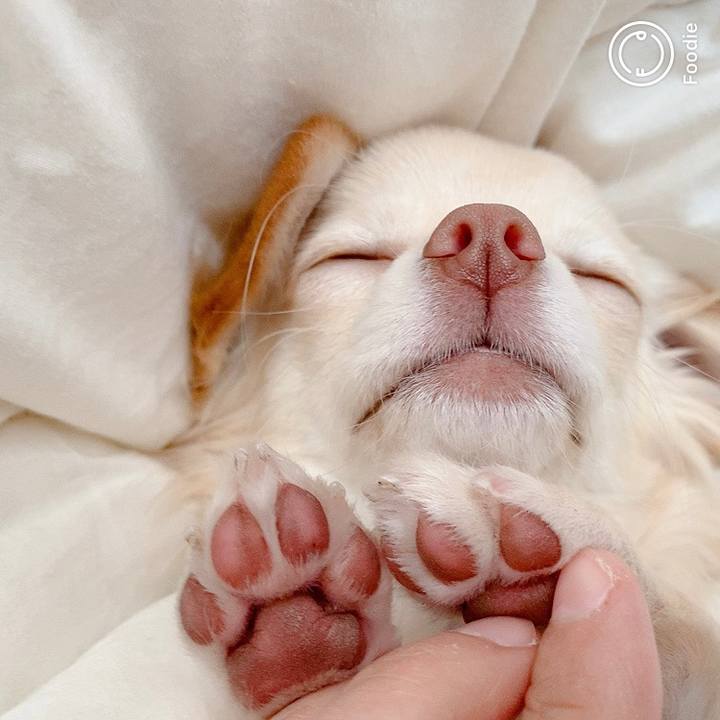 6353b040 179c 4c6e 8408 42acc35851b8 1604540713859