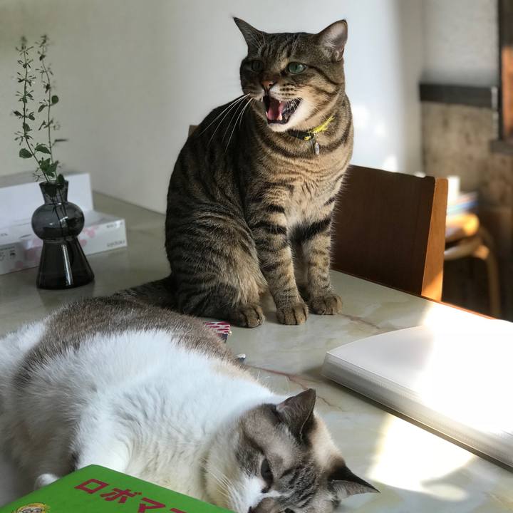 6353b9d8 6af7 4a29 811e a87f5a870450 1531895226106