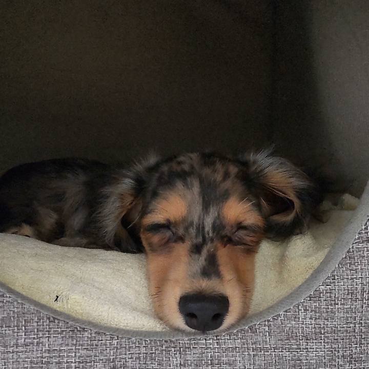 63540f28 4540 4da0 91e4 d9e9769d5ed5 1696850029625