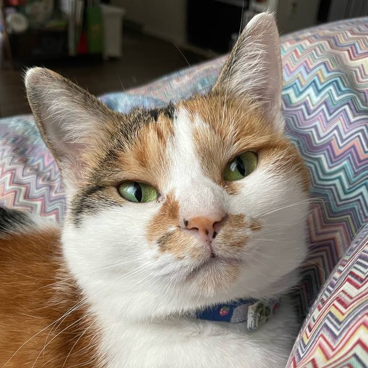 635427a8 7bdc 4559 b4d8 740934c26748 1698549444152