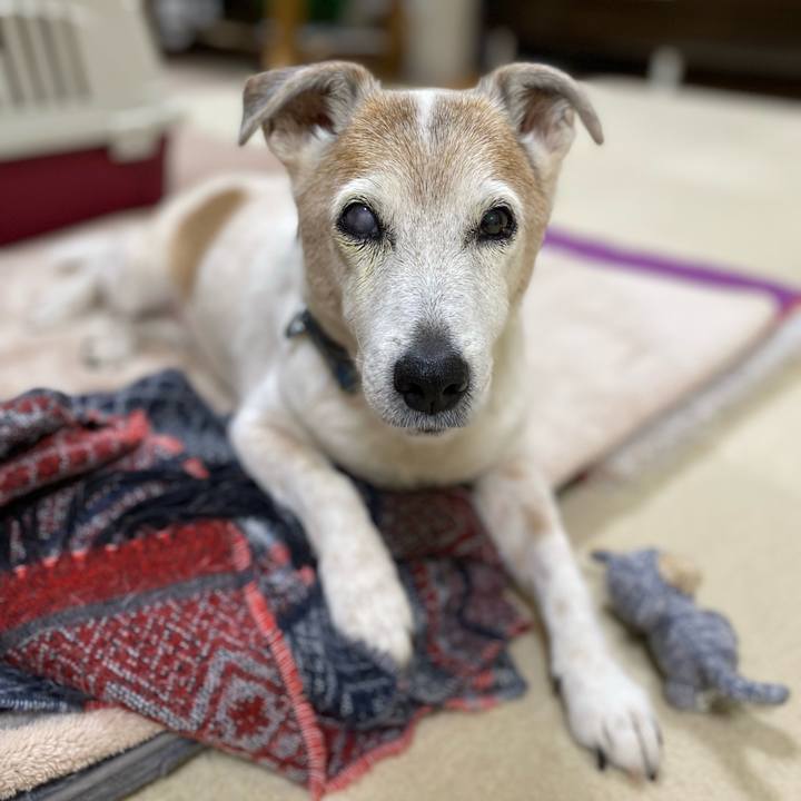 63547904 05e3 458f be14 072f7e1916ed 1677377779527