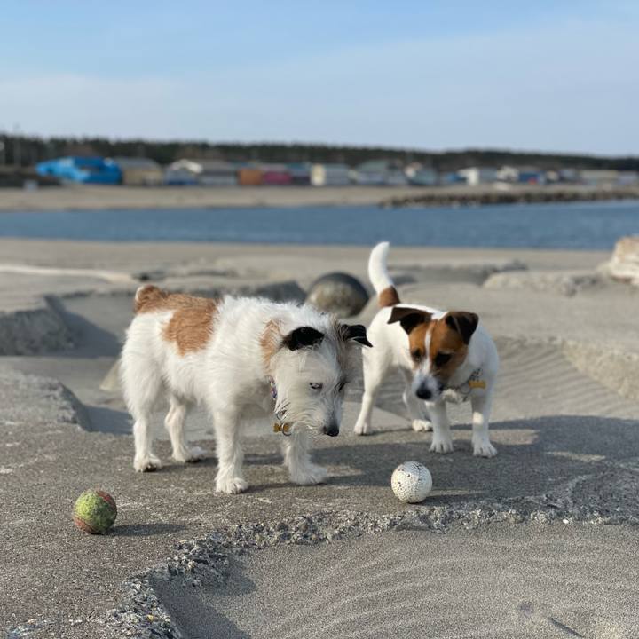 6354b2f8 a8fa 4164 9a7a 748f6cf85f1f 1680655062609