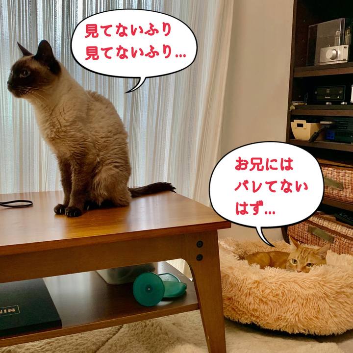 6354e4c8 1b5c 479c ab43 e3a9a465d411 1621204547728