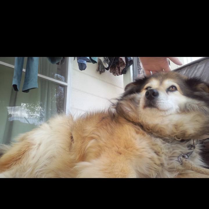 6354e54b 7d7e 4c60 8578 b65f5ec9d009 1621234626446