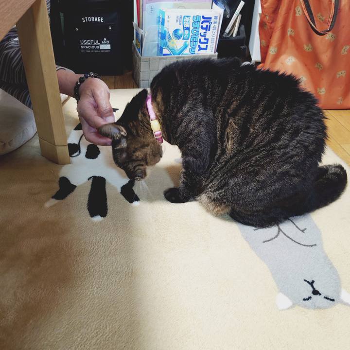 635548bd b528 4e37 98ec e2dd8ff224b9 1775565495234