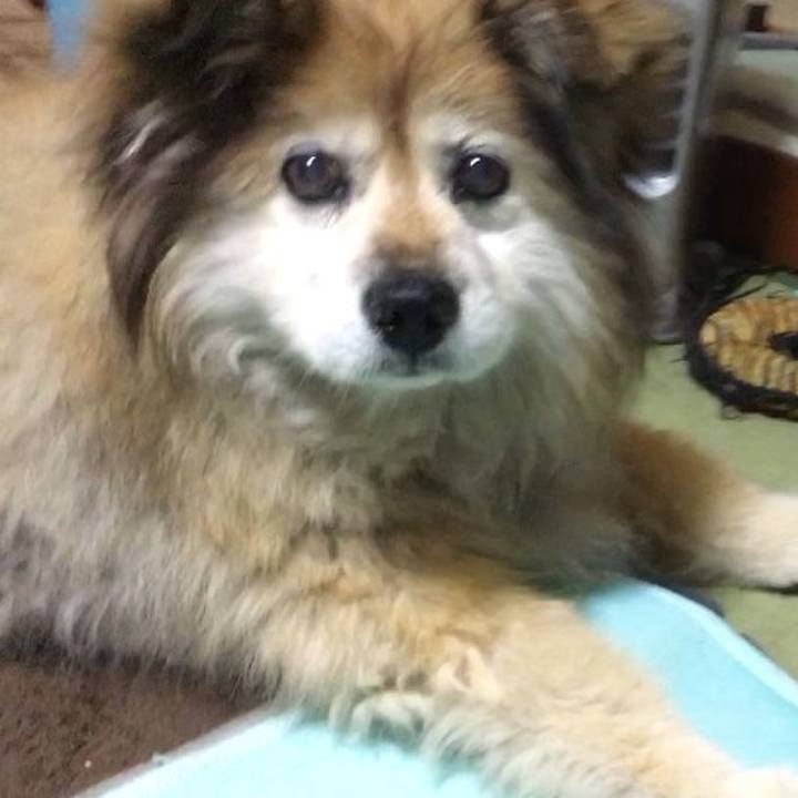 63556bc5 4cb2 4d6c 8b12 c9b2451fd016 1600082018612