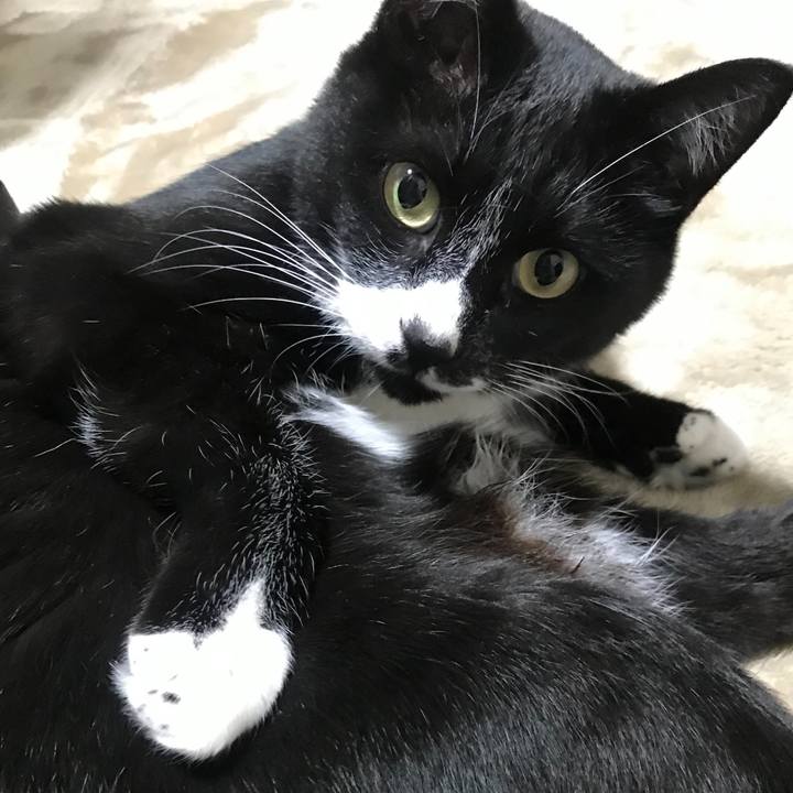 6355714a e112 427e 93d9 8239b0cf1d99 1675136086434