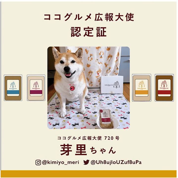 63557636 dee7 4746 b7f9 6538780e2aec 1692674913468