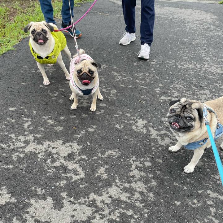 63558605 5c9f 423e 8cdc 2682ec10ef6a 1630822263192