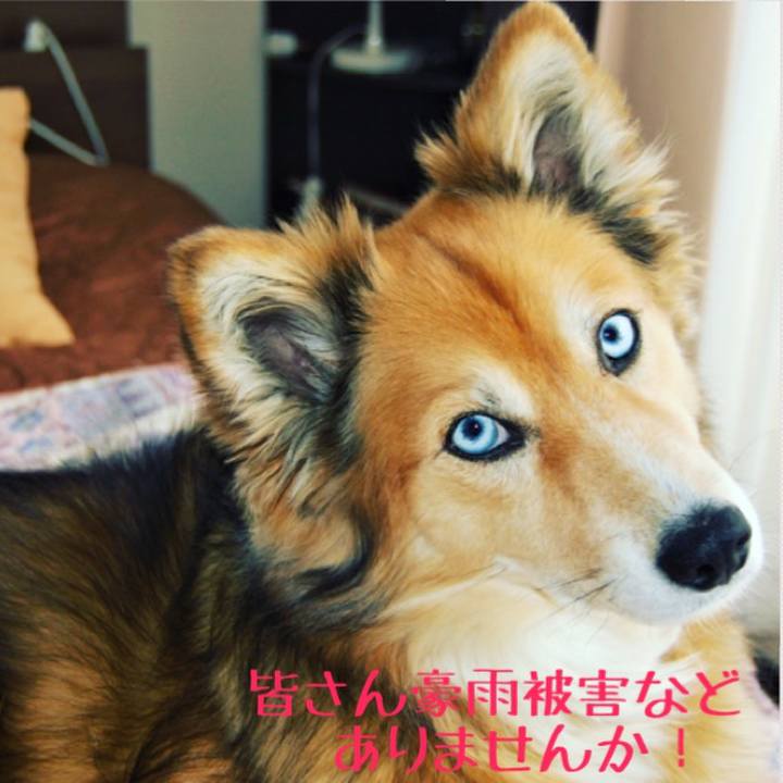 6355c788 9583 4544 b1d4 b06fbdf37def 1530875603538