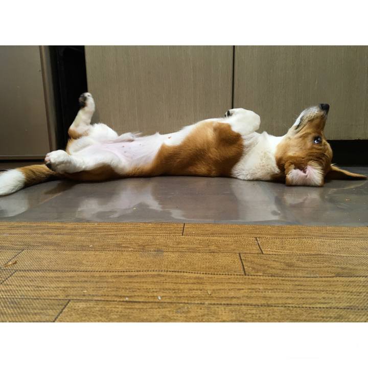 6355d129 4048 4e65 9355 1081c5a1e20e 1599099046966