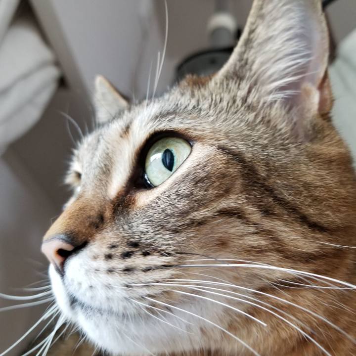 635602f3 55ae 4f85 b5c5 63564062c7cb 1616200188120