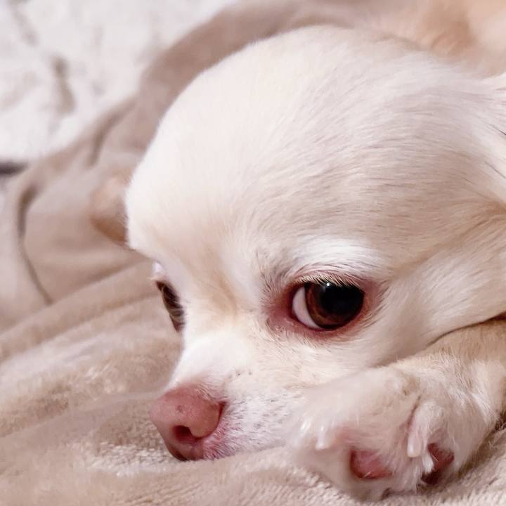 63565e4d 7b61 4cb3 a712 e242409c191e 1739522793306