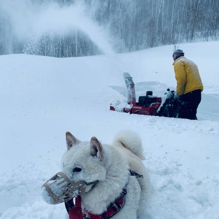 63566daa e78d 47cb 965a 03d9dfa48ed1 1641270165330