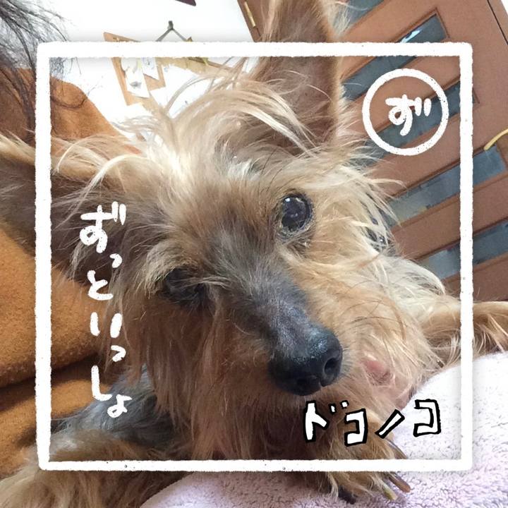 63568415 50fc 4972 81d5 dd28d77062fe 1685934523267