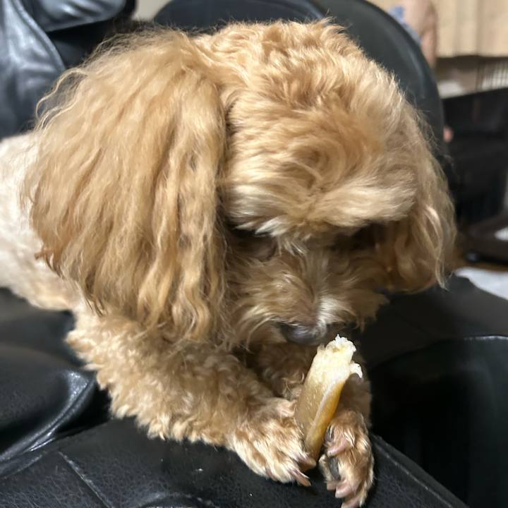 6356ac1e 57be 41b7 995d 40ea72990321 1695311900675