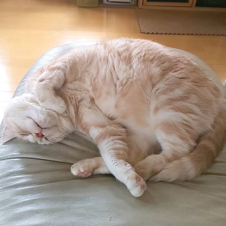 6356e27e 7cb2 4590 9d56 5732216e2194 1598940695899