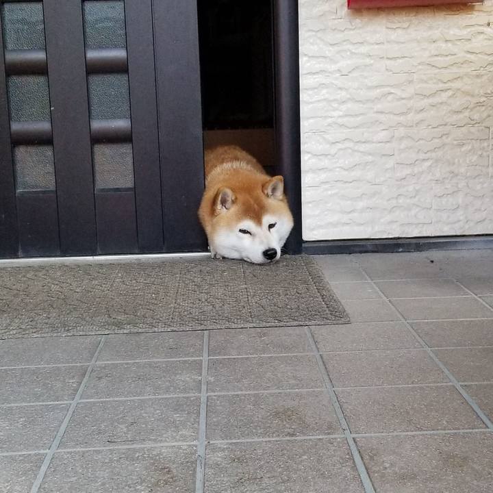 6356f388 2110 4c72 9762 84d983e8c338 1604388600347