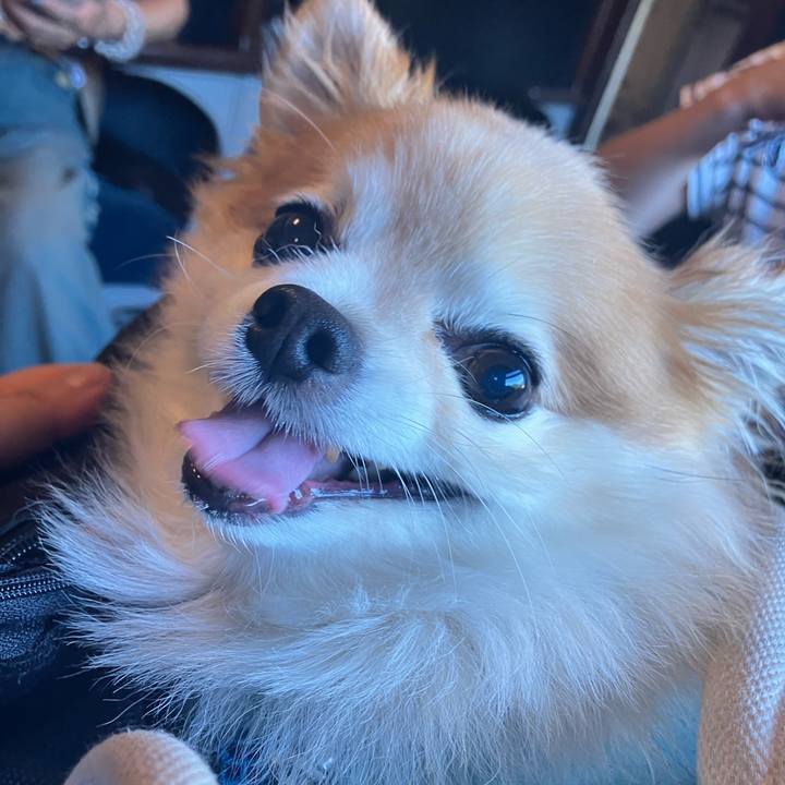 63572c34 eea6 4604 865f 8a053c37cf34 1756683826777