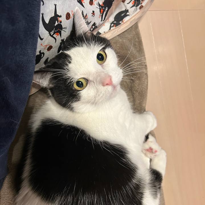 63573139 f59d 42be a26d 15f1362c69e6 1772665744978