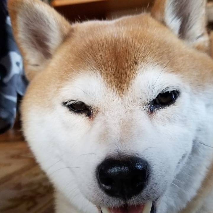 63578a8f 0842 4b00 b2fc 8ef82217f4c1 1704873732669