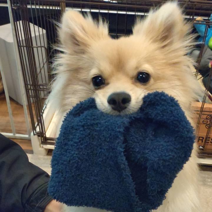 635795f9 e6af 4c4e b344 4d7683be7e27 1739597334595