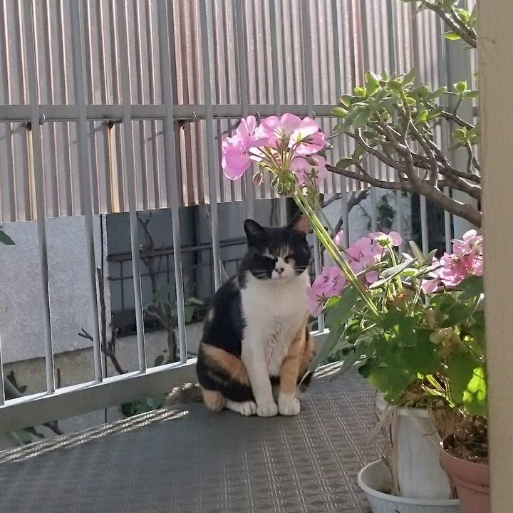 635799e3 0875 43be 8fa7 4a0ba1813bb0 1524698064622