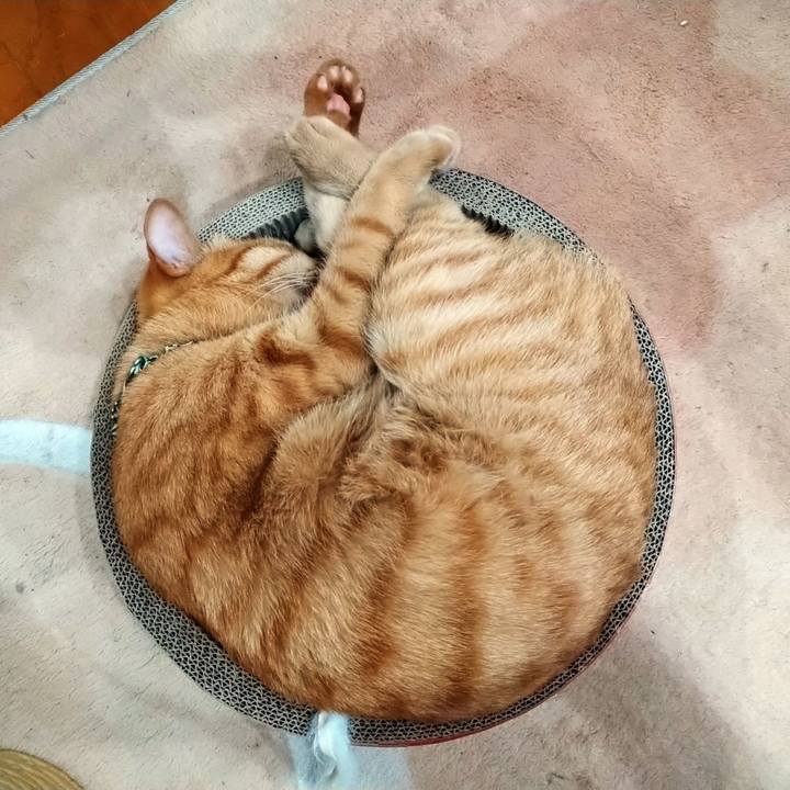 6357f147 8738 4afc 91d3 e976d977688f 1607432796195