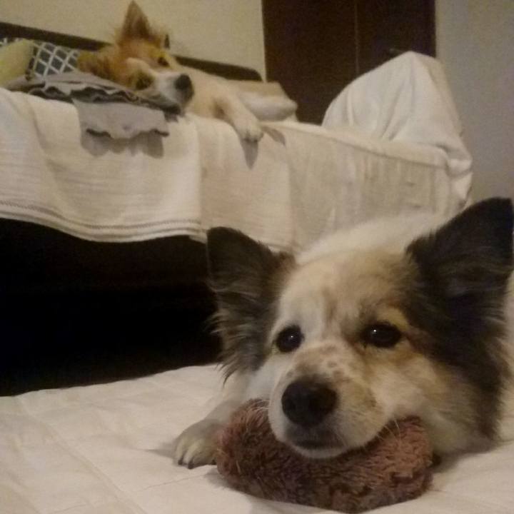 6357f1a1 4b6b 491b 8e24 f46e0e01fca7 1513167612866