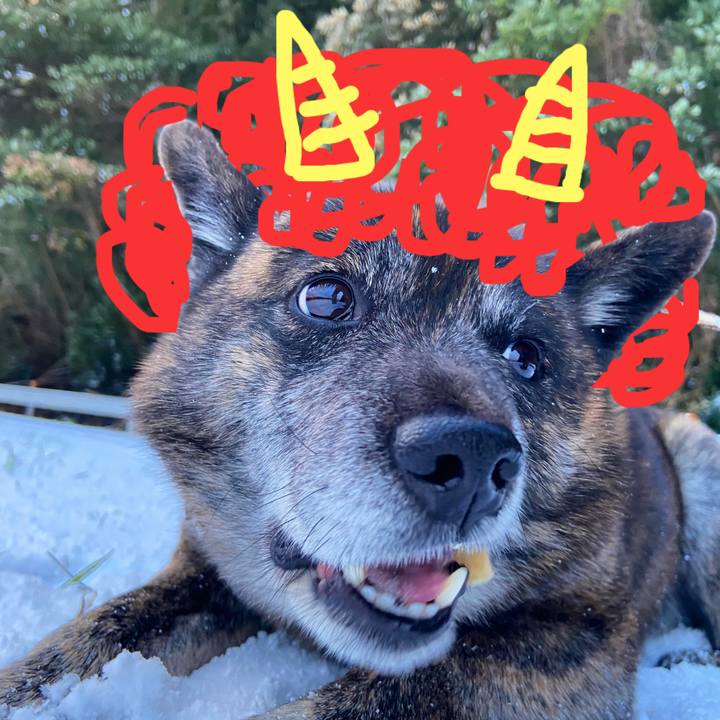 6357fe0e d89c 479d bd6a fdeeeb6ed96d 1612267052715