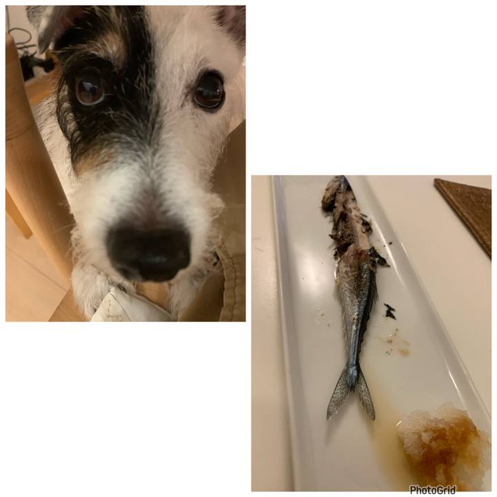 63580afa d3e2 454a ba53 4a007b70423e 1727608175490