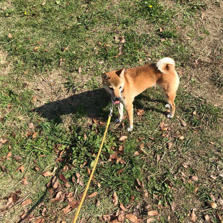 63583d65 6f23 4589 9cf0 f9d35464cd8f 1541946257488