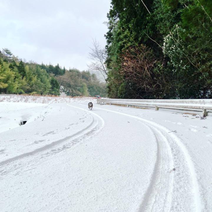 63584430 0f35 401a bd92 f8d3fb220a40 1640564860522