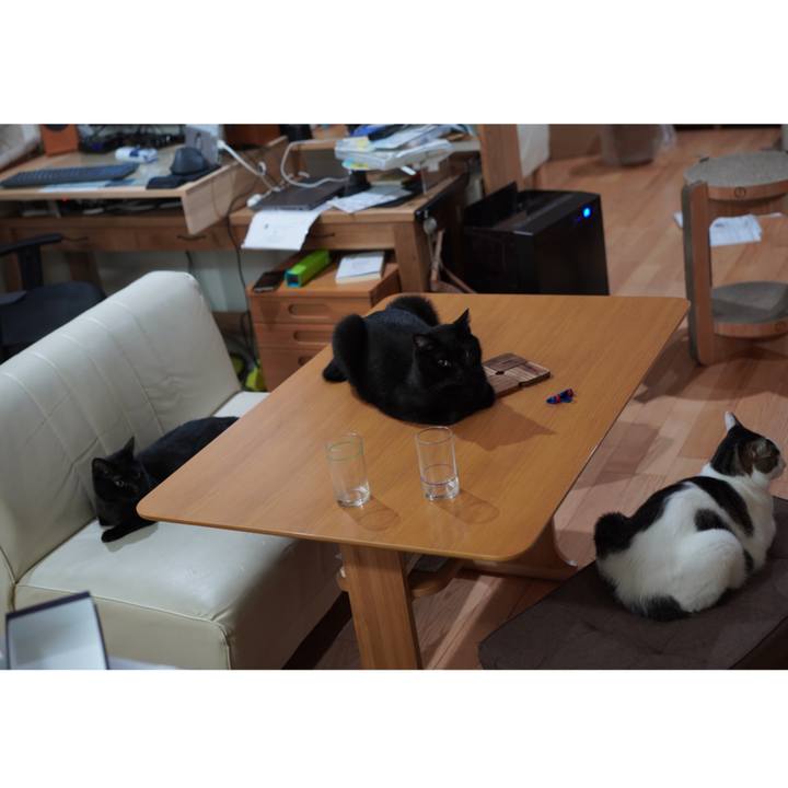 6358464f 1951 408c 987f 2954b1808ddb 1631629615801