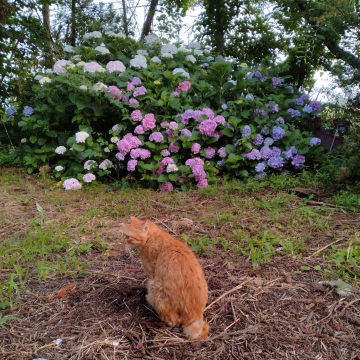 6358468c af6f 4859 aee8 25579700e13c 1751924552978