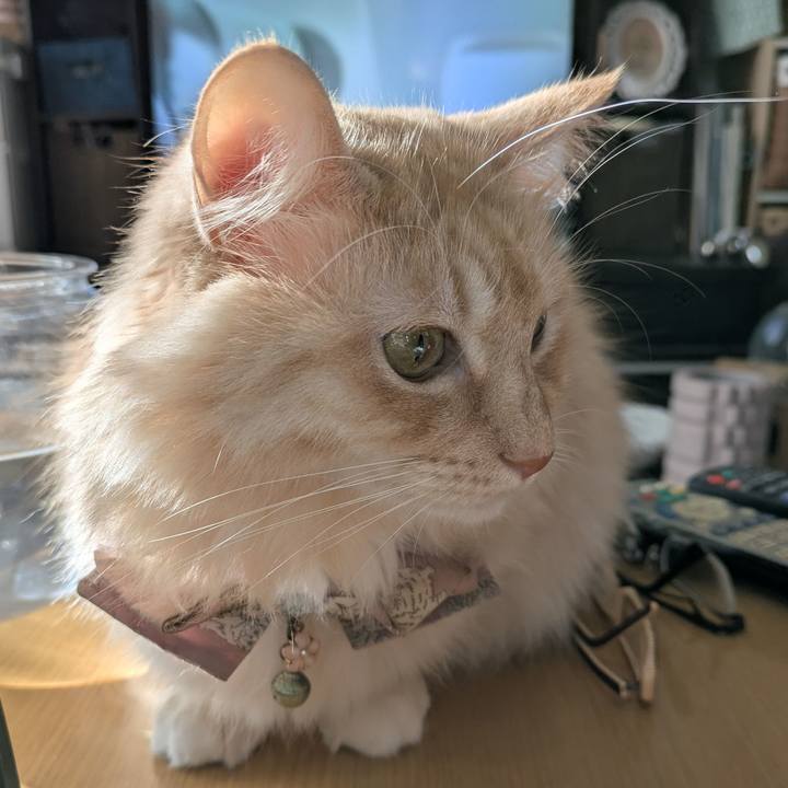 63586317 6d12 4e43 aa3e 4b33c2b53c39 1734419053018