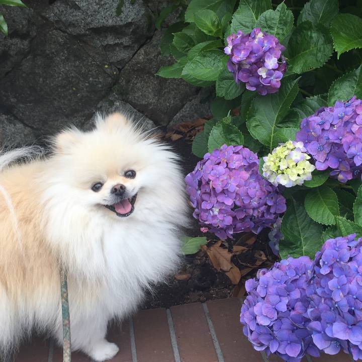 63587d1d a945 4716 86be c12679e5d040 1560054959478