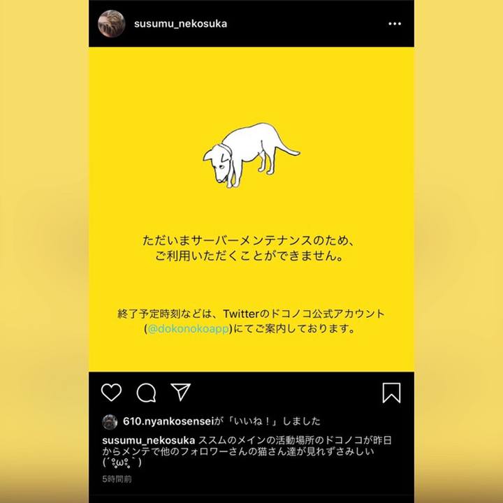 6358d423 ece3 4986 a857 a3c95e78763a 1574835540553